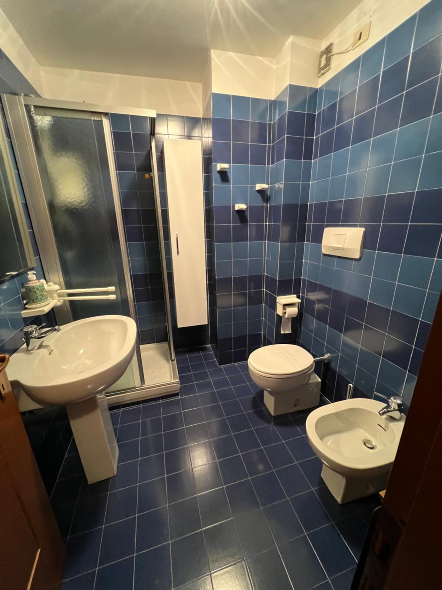 Limone Central Suite Mountain View 利莫内皮埃蒙特 外观 照片
